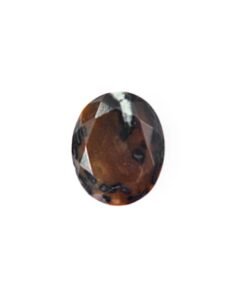 Alternative view of BlessStone No. 9 (beetle)